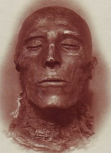 The head of Seti I's mummy